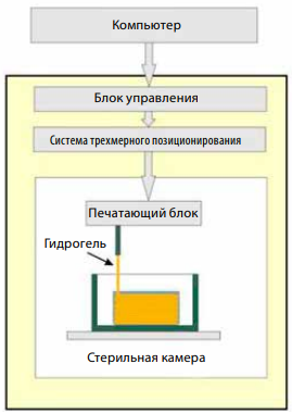 Изображение на обложке