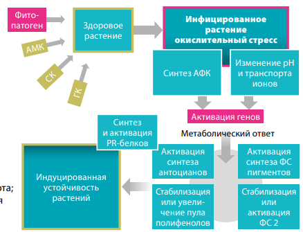 Изображение на обложке