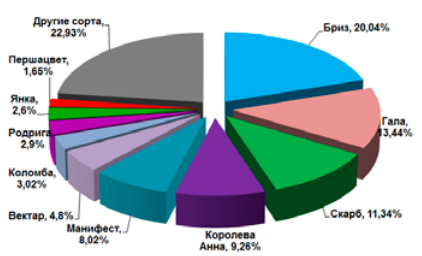 Изображение на обложке