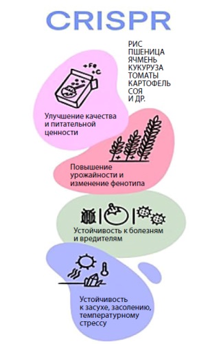 Изображение на обложке