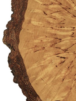 Изображение на обложке