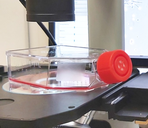 Изображение на обложке