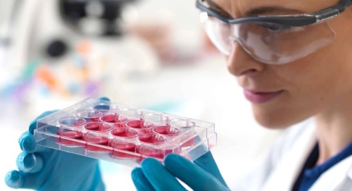 Изображение на обложке