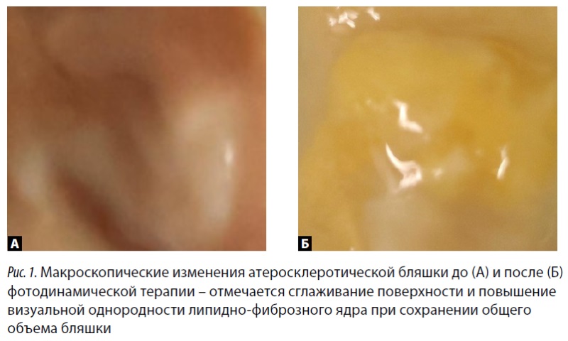 Изображение на обложке